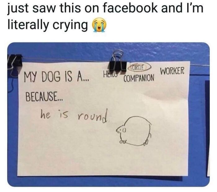 When Life Gets Too Boring, These 99 Random Memes Are Here To Save The Day When Life Gets Too Boring, These 99 Random Memes Are Here To Save The Day