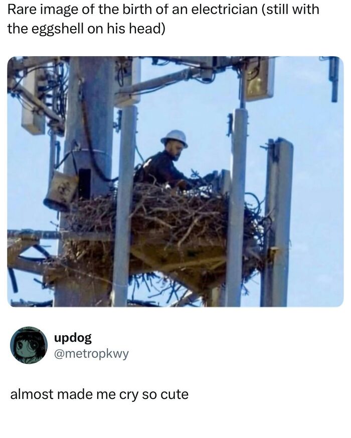 When Life Gets Too Boring, These 99 Random Memes Are Here To Save The Day When Life Gets Too Boring, These 99 Random Memes Are Here To Save The Day