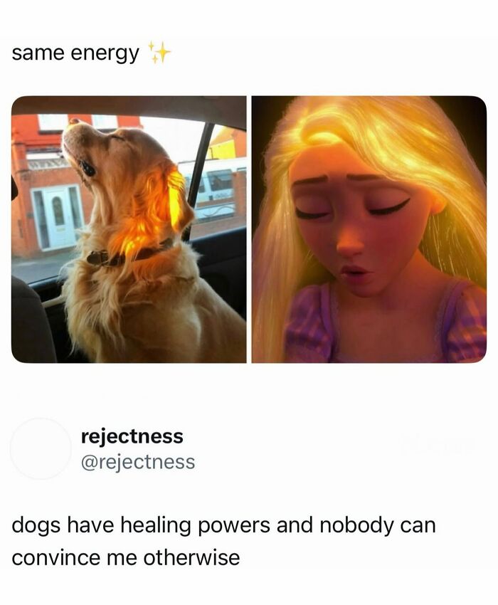When Life Gets Too Boring, These 99 Random Memes Are Here To Save The Day When Life Gets Too Boring, These 99 Random Memes Are Here To Save The Day
