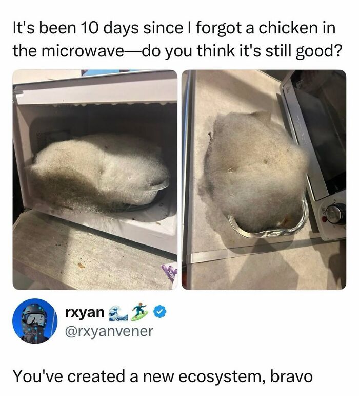 When Life Gets Too Boring, These 99 Random Memes Are Here To Save The Day When Life Gets Too Boring, These 99 Random Memes Are Here To Save The Day