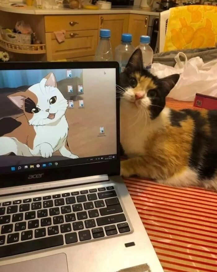 54 Funny And Wholesome Animal Pics Shared By This Community To Brighten Your Day