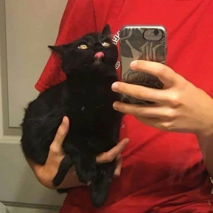 54 Funny And Wholesome Animal Pics Shared By This Community To Brighten Your Day