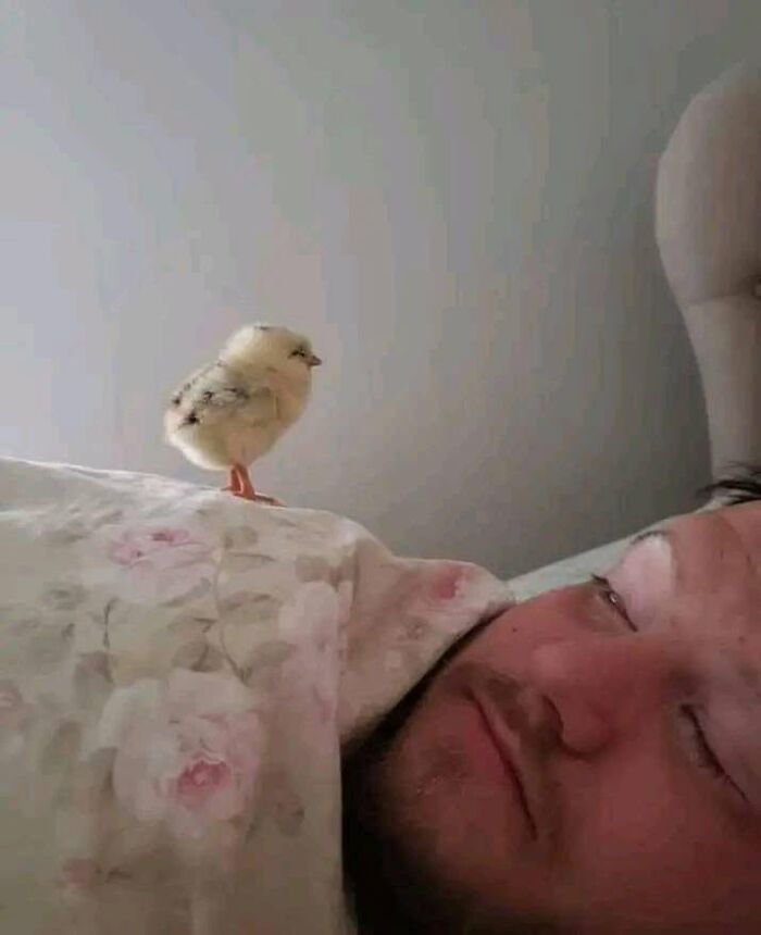 54 Funny And Wholesome Animal Pics Shared By This Community To Brighten Your Day