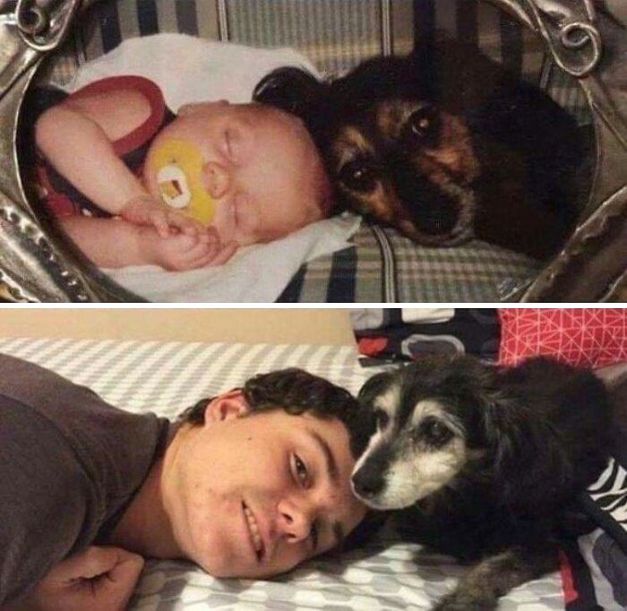 54 Funny And Wholesome Animal Pics Shared By This Community To Brighten Your Day