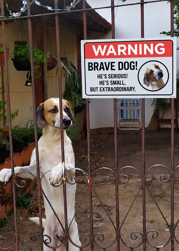 54 Funny And Wholesome Animal Pics Shared By This Community To Brighten Your Day