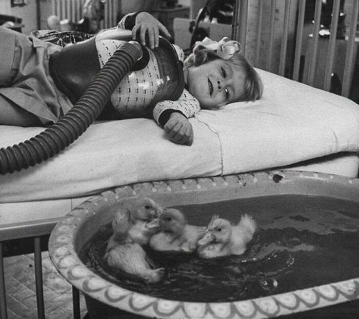 This Page Shared 55 Old Photos Of Animals That Offer A Different View Of The Past