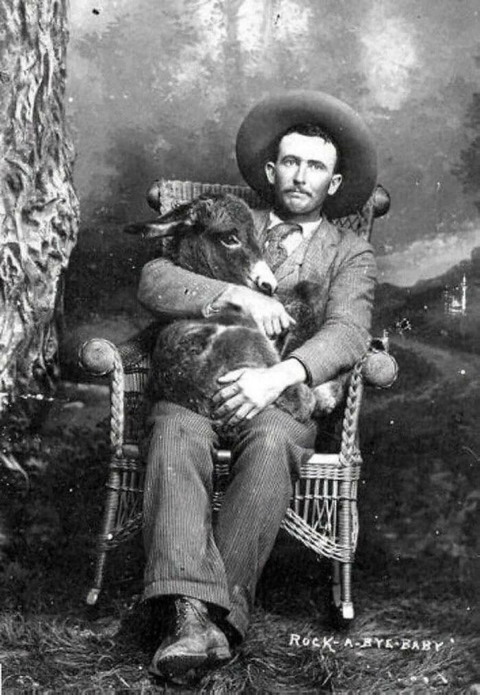 This Page Shared 55 Old Photos Of Animals That Offer A Different View Of The Past