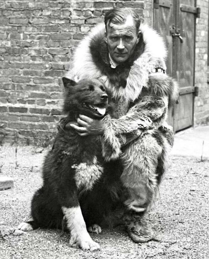 This Page Shared 55 Old Photos Of Animals That Offer A Different View Of The Past
