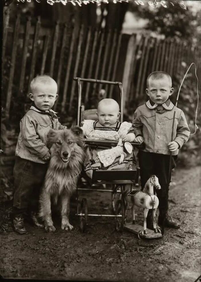 This Page Shared 55 Old Photos Of Animals That Offer A Different View Of The Past