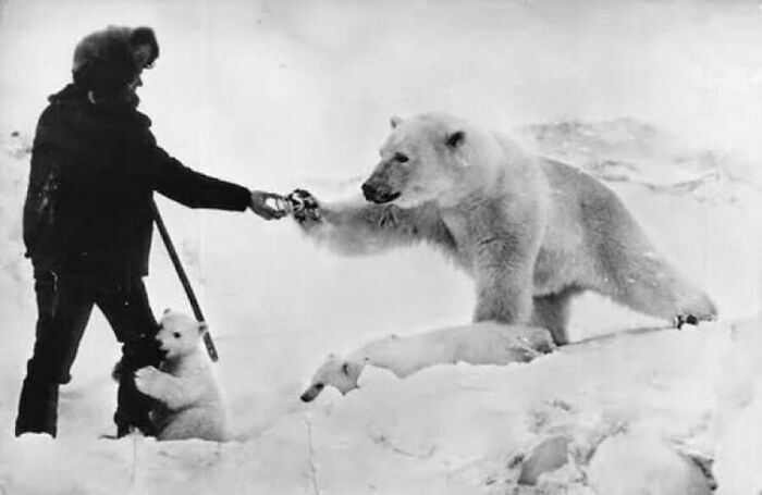 This Page Shared 55 Old Photos Of Animals That Offer A Different View Of The Past