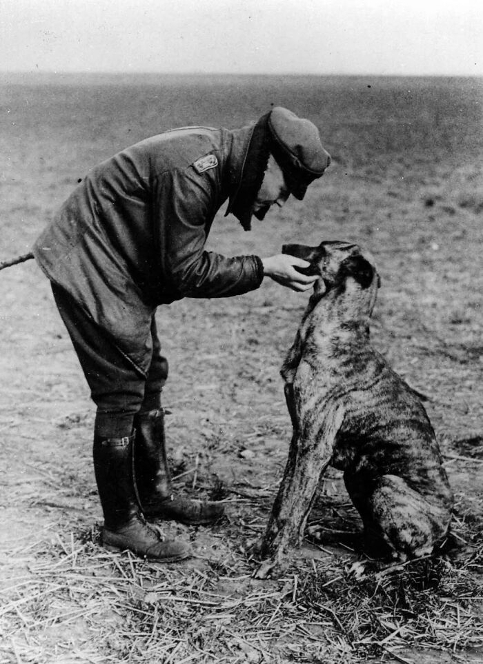 This Page Shared 55 Old Photos Of Animals That Offer A Different View Of The Past