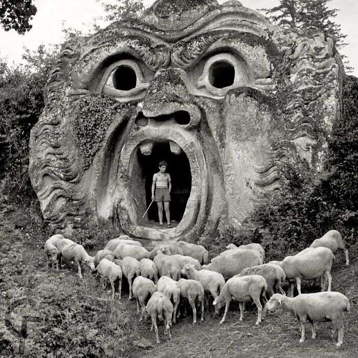 This Page Shared 55 Old Photos Of Animals That Offer A Different View Of The Past