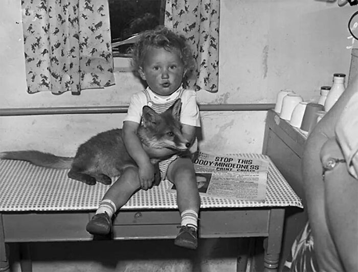This Page Shared 55 Old Photos Of Animals That Offer A Different View Of The Past