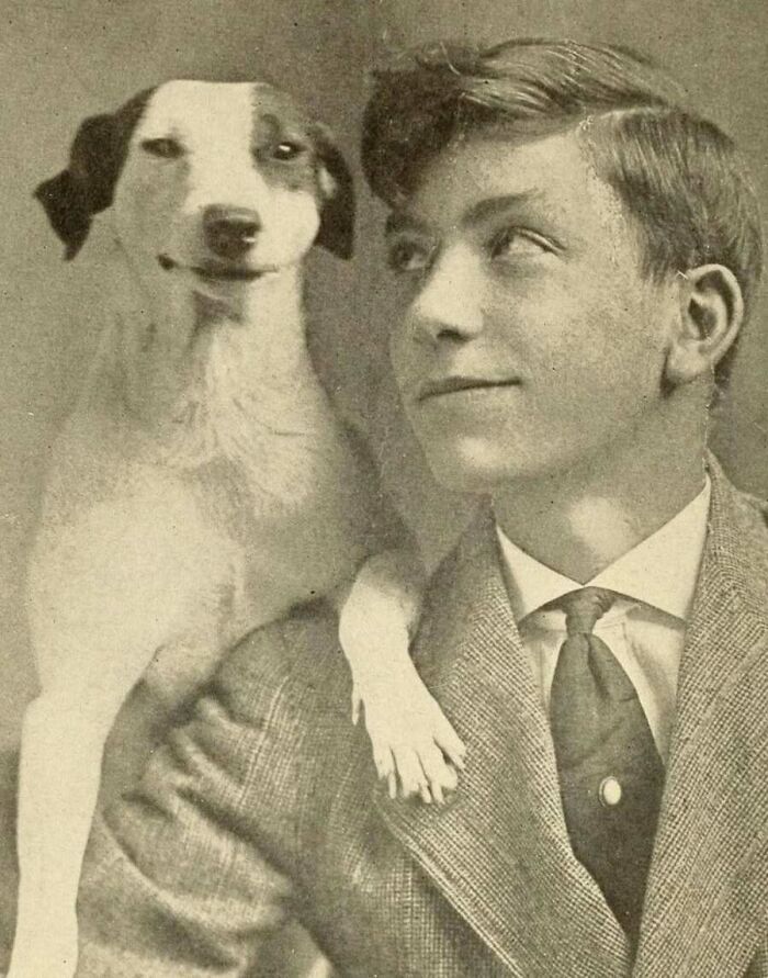 This Page Shared 55 Old Photos Of Animals That Offer A Different View Of The Past
