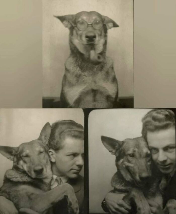 This Page Shared 55 Old Photos Of Animals That Offer A Different View Of The Past