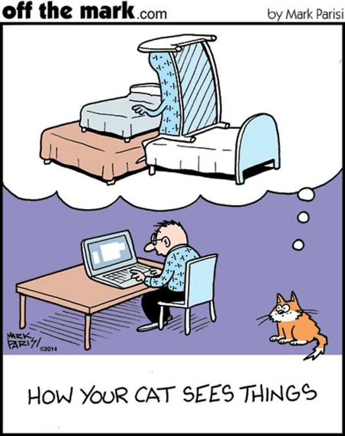 29 New Comics By Mark Parisi That Capture The Odd Little Habits Every Cat Owner Knows 29 New Comics By Mark Parisi That Capture The Odd Little Habits Every Cat Owner Knows