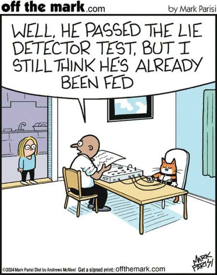 29 New Comics By Mark Parisi That Capture The Odd Little Habits Every Cat Owner Knows 29 New Comics By Mark Parisi That Capture The Odd Little Habits Every Cat Owner Knows