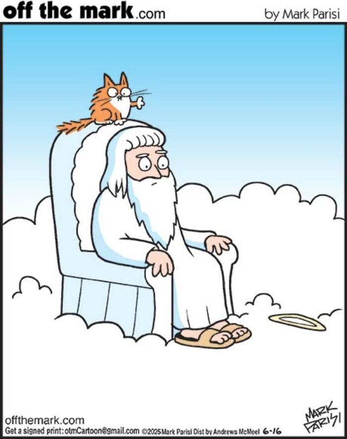29 New Comics By Mark Parisi That Capture The Odd Little Habits Every Cat Owner Knows 29 New Comics By Mark Parisi That Capture The Odd Little Habits Every Cat Owner Knows