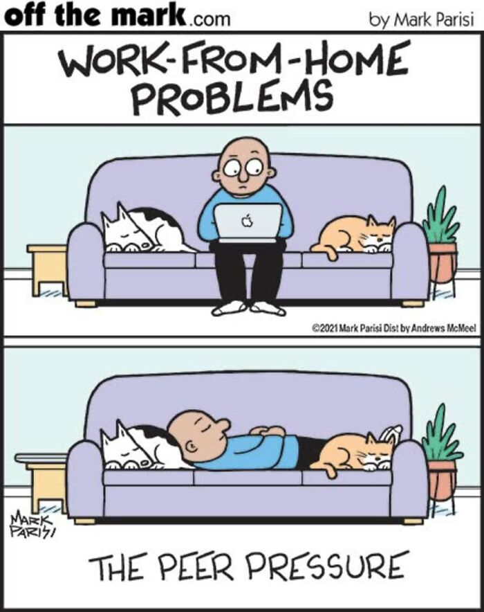 29 New Comics By Mark Parisi That Capture The Odd Little Habits Every Cat Owner Knows 29 New Comics By Mark Parisi That Capture The Odd Little Habits Every Cat Owner Knows
