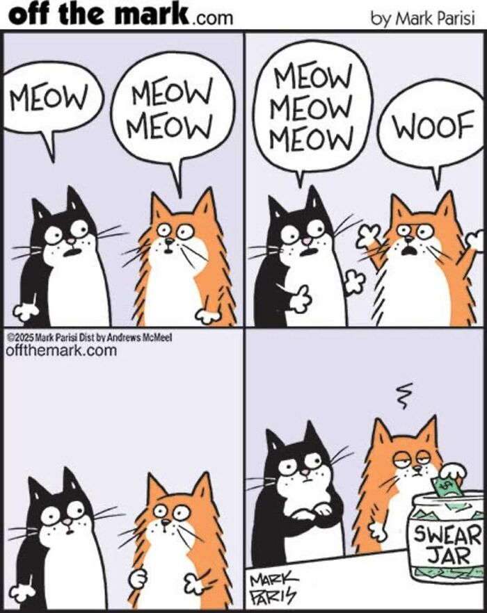 29 New Comics By Mark Parisi That Capture The Odd Little Habits Every Cat Owner Knows 29 New Comics By Mark Parisi That Capture The Odd Little Habits Every Cat Owner Knows