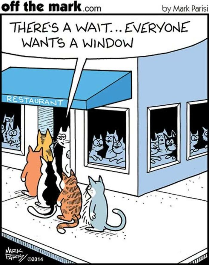29 New Comics By Mark Parisi That Capture The Odd Little Habits Every Cat Owner Knows 29 New Comics By Mark Parisi That Capture The Odd Little Habits Every Cat Owner Knows