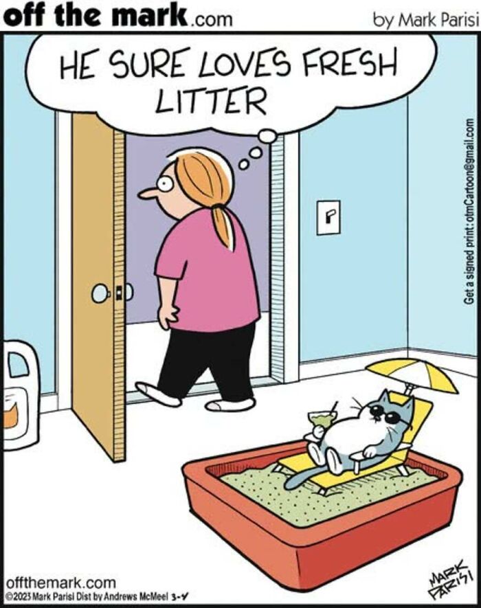 29 New Comics By Mark Parisi That Capture The Odd Little Habits Every Cat Owner Knows 29 New Comics By Mark Parisi That Capture The Odd Little Habits Every Cat Owner Knows