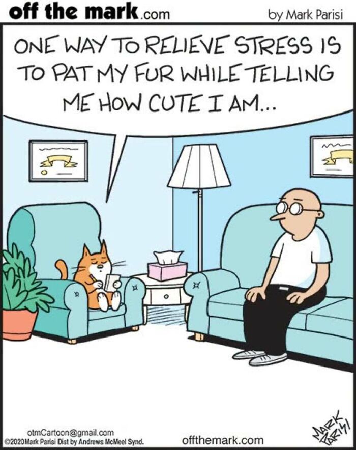 29 New Comics By Mark Parisi That Capture The Odd Little Habits Every Cat Owner Knows 29 New Comics By Mark Parisi That Capture The Odd Little Habits Every Cat Owner Knows