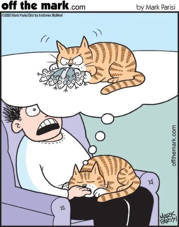 29 New Comics By Mark Parisi That Capture The Odd Little Habits Every Cat Owner Knows 29 New Comics By Mark Parisi That Capture The Odd Little Habits Every Cat Owner Knows