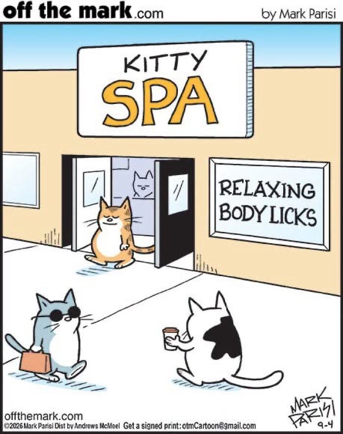 29 New Comics By Mark Parisi That Capture The Odd Little Habits Every Cat Owner Knows 29 New Comics By Mark Parisi That Capture The Odd Little Habits Every Cat Owner Knows