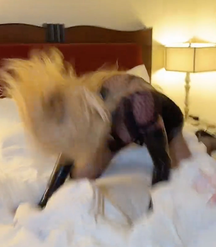 Fan Backlash After Madonna Crawls Across A Bed On All Fours In “Embarrassing” Video: “How Do I Unsee This?”