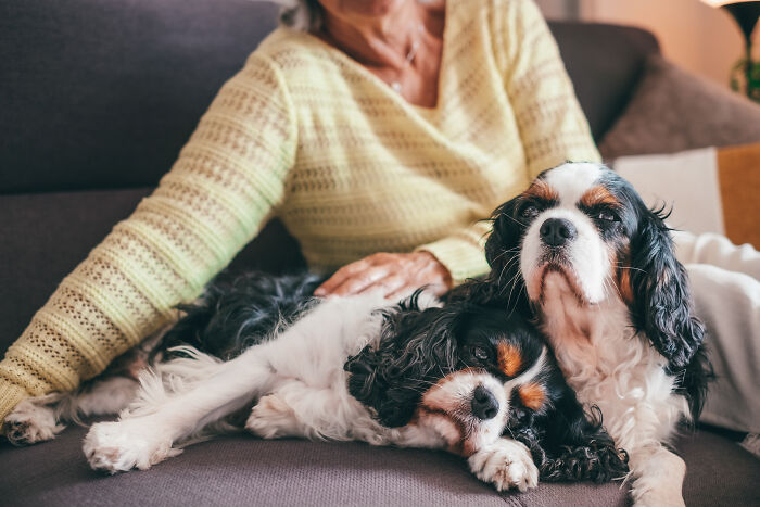 49 Divorce Lawyers Reveal The Pettiest And Cruelest Things They&rsquo;ve Seen People Do During A Split