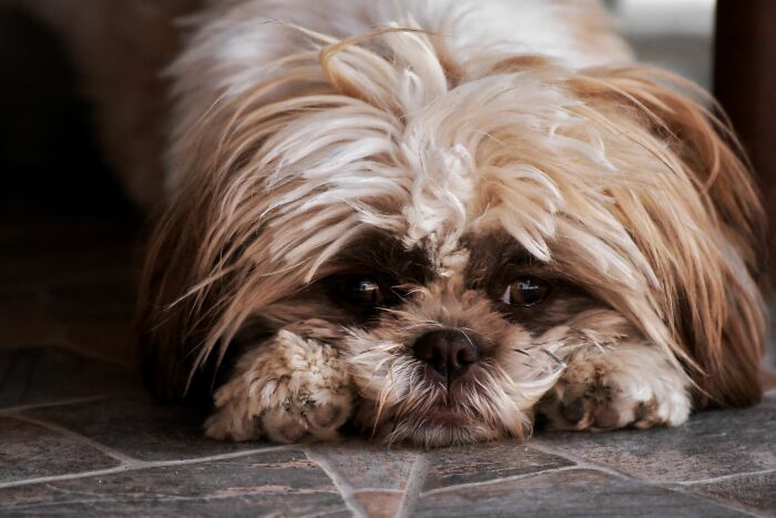 49 Divorce Lawyers Reveal The Pettiest And Cruelest Things They&rsquo;ve Seen People Do During A Split