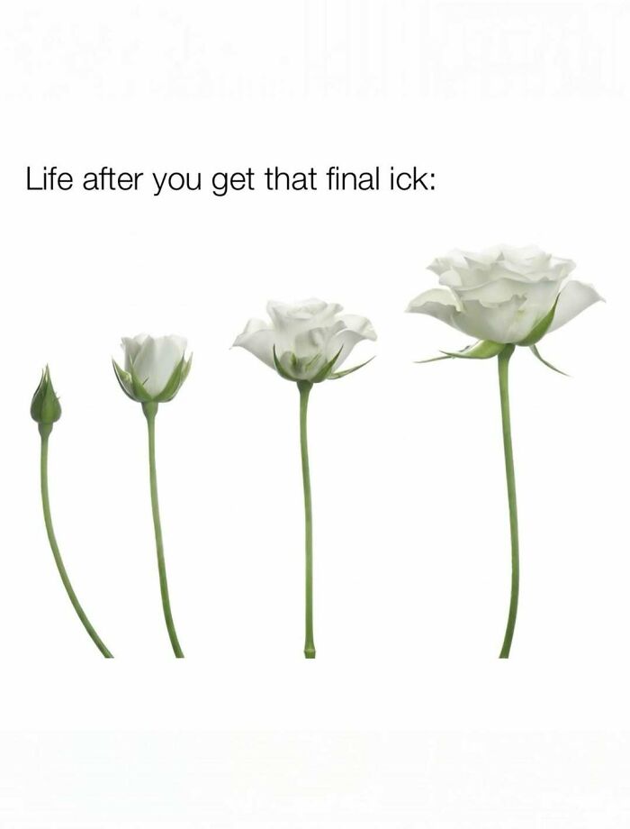 80 Funny Memes About The Weirdly Specific Realities Of Being A Woman
