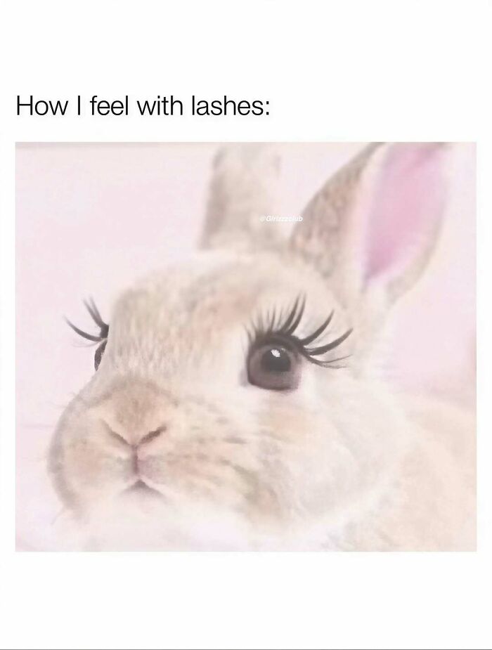 80 Funny Memes About The Weirdly Specific Realities Of Being A Woman