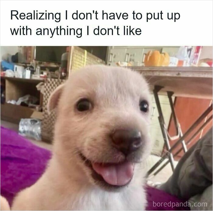 74 Hilariously Ridiculous Memes For People Who Don&rsquo;t Take Life Too Seriously