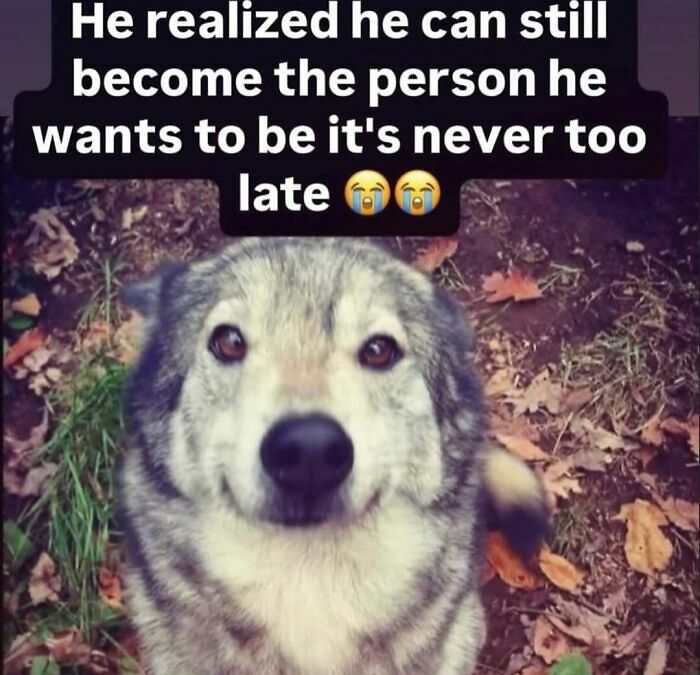 74 Hilariously Ridiculous Memes For People Who Don&rsquo;t Take Life Too Seriously