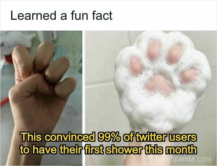 74 Hilariously Ridiculous Memes For People Who Don&rsquo;t Take Life Too Seriously