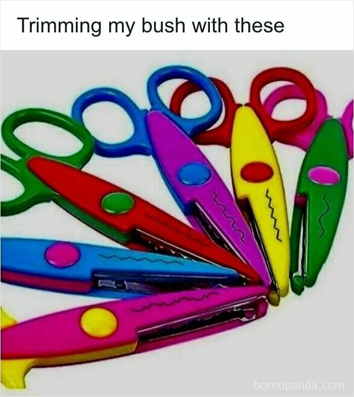 74 Hilariously Ridiculous Memes For People Who Don&rsquo;t Take Life Too Seriously