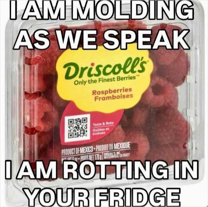 74 Hilariously Ridiculous Memes For People Who Don&rsquo;t Take Life Too Seriously