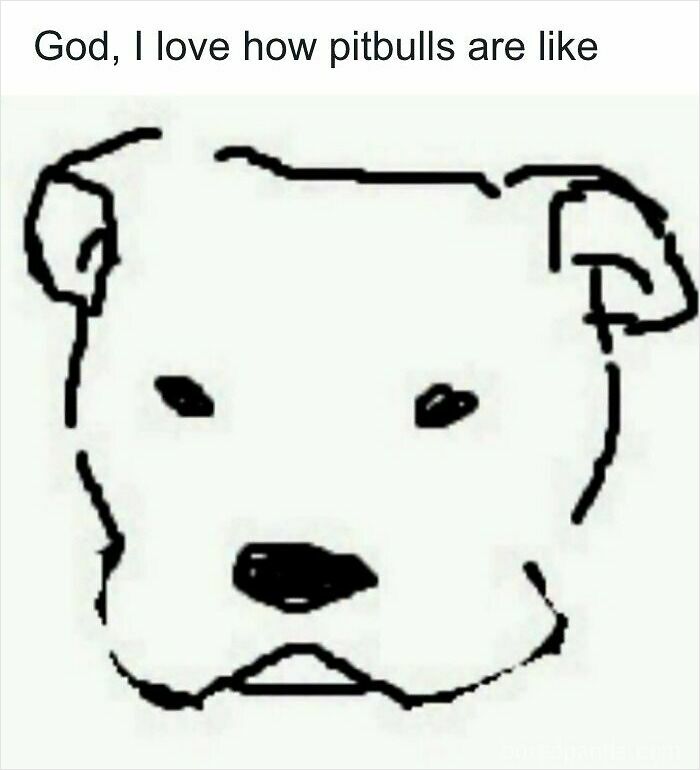 74 Hilariously Ridiculous Memes For People Who Don&rsquo;t Take Life Too Seriously