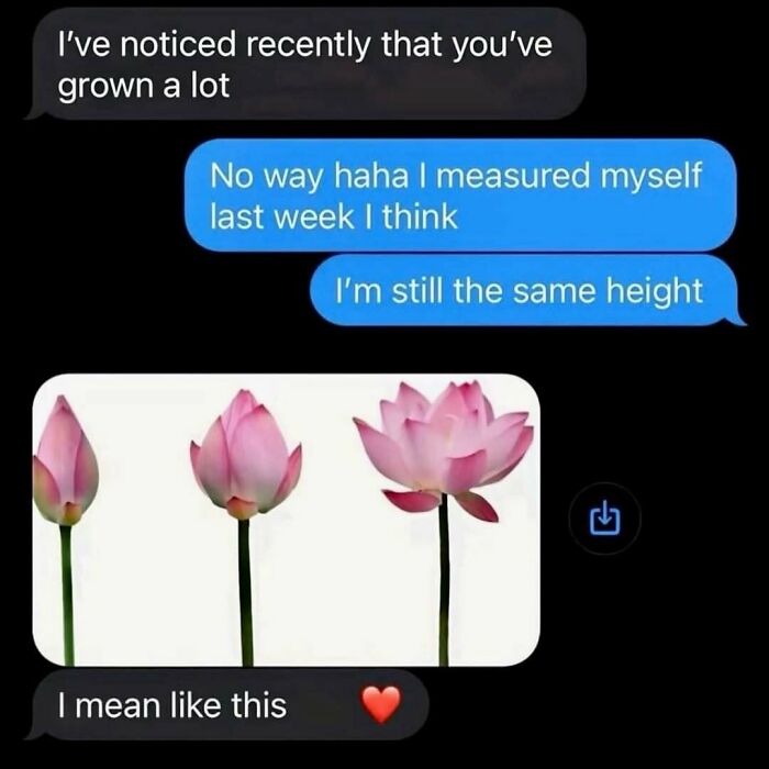 74 Hilariously Ridiculous Memes For People Who Don&rsquo;t Take Life Too Seriously
