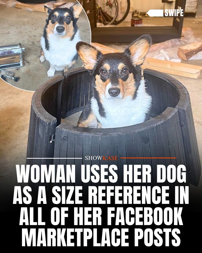 61 Wholesome Stories That Might Make You Shed A Tear Because They&rsquo;re So Overwhelmingly Awesome