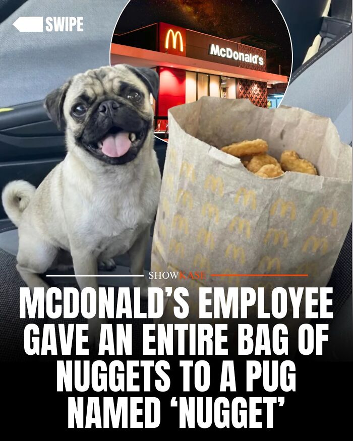 61 Wholesome Stories That Might Make You Shed A Tear Because They&rsquo;re So Overwhelmingly Awesome