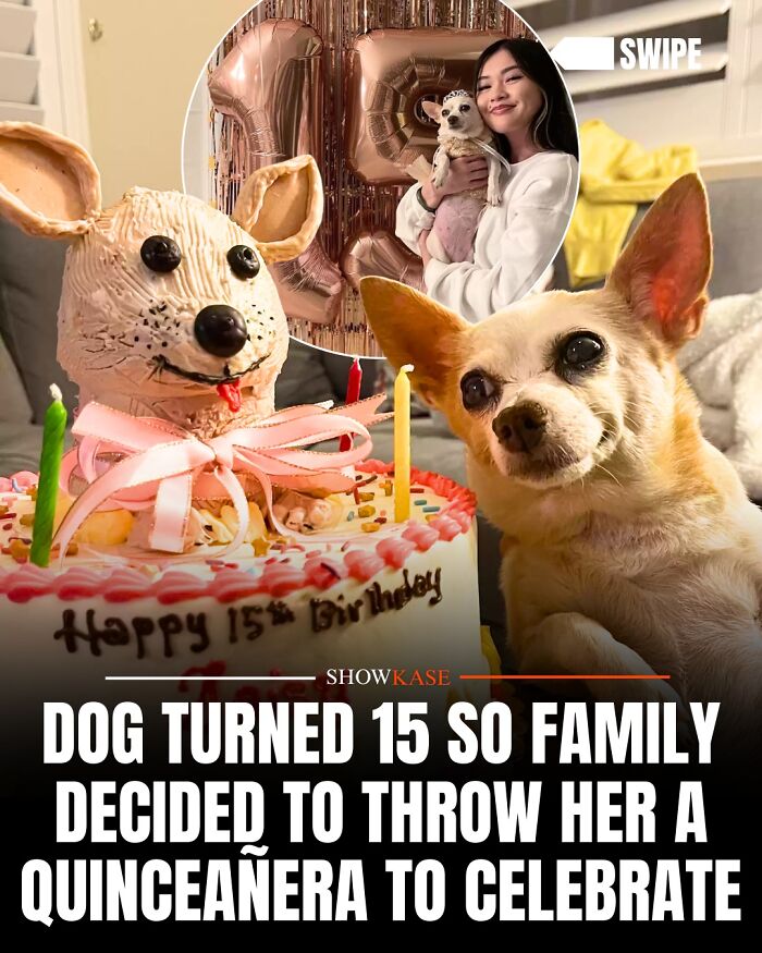 61 Wholesome Stories That Might Make You Shed A Tear Because They&rsquo;re So Overwhelmingly Awesome