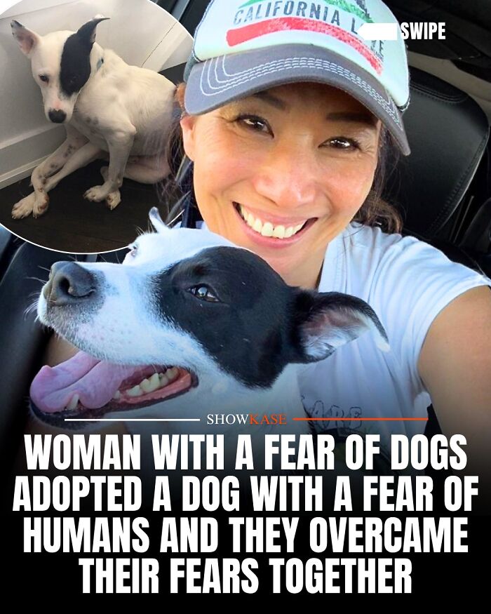 61 Wholesome Stories That Might Make You Shed A Tear Because They&rsquo;re So Overwhelmingly Awesome