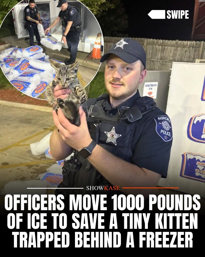 61 Wholesome Stories That Might Make You Shed A Tear Because They&rsquo;re So Overwhelmingly Awesome