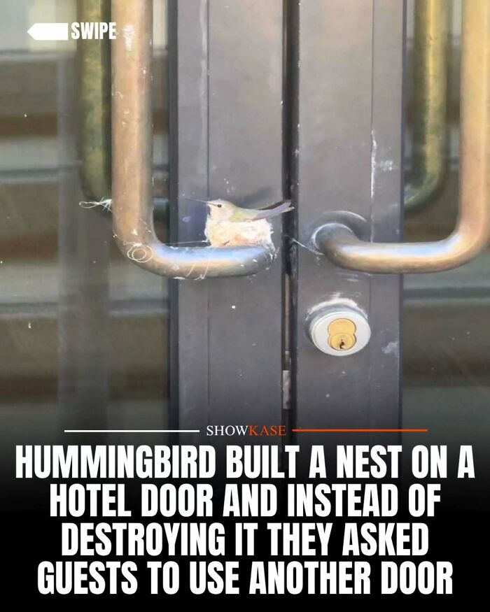 61 Wholesome Stories That Might Make You Shed A Tear Because They&rsquo;re So Overwhelmingly Awesome
