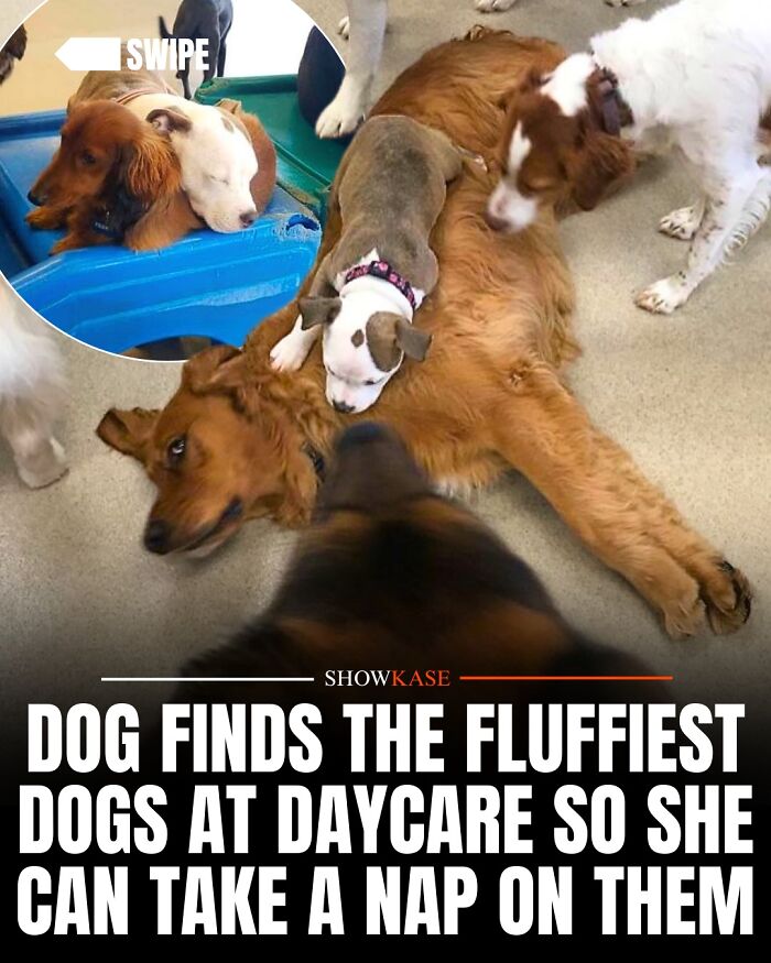 61 Wholesome Stories That Might Make You Shed A Tear Because They&rsquo;re So Overwhelmingly Awesome