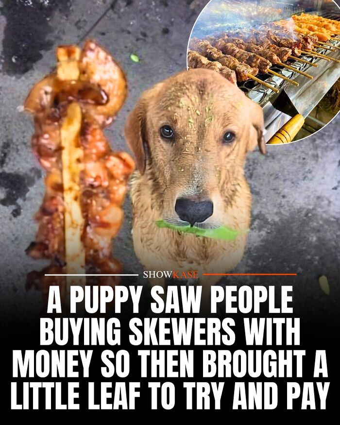 61 Wholesome Stories That Might Make You Shed A Tear Because They&rsquo;re So Overwhelmingly Awesome