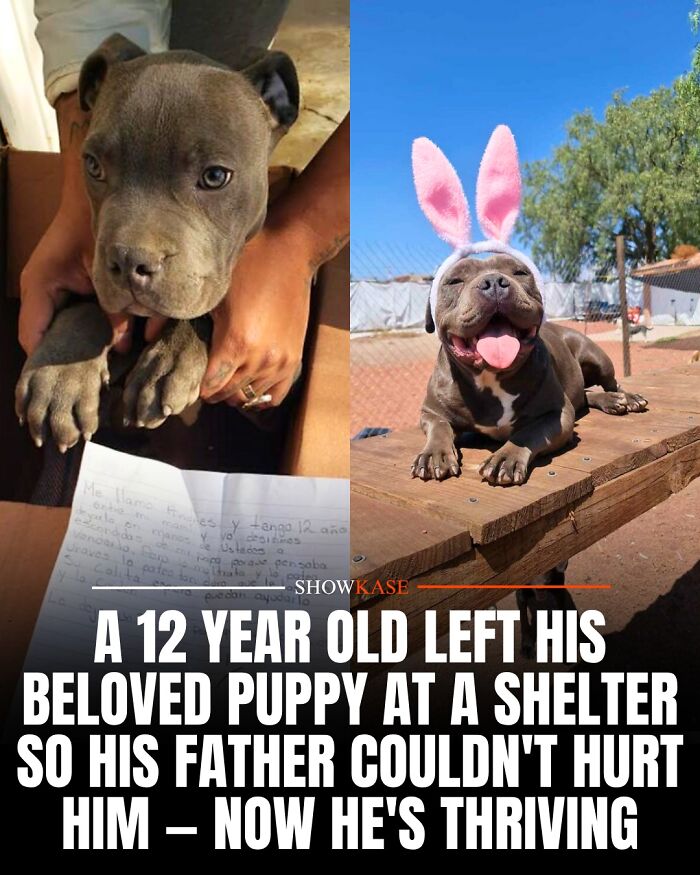 61 Wholesome Stories That Might Make You Shed A Tear Because They&rsquo;re So Overwhelmingly Awesome